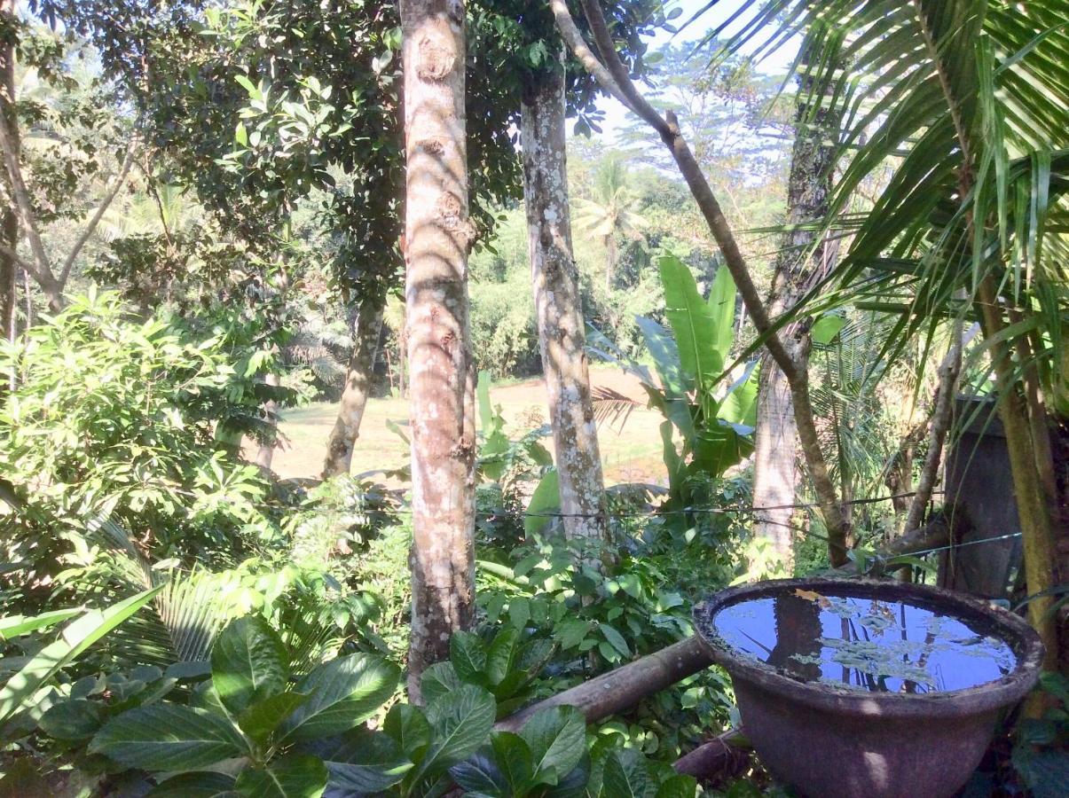 Rumah Irak Et Kadek Bali Ubud Esterno foto