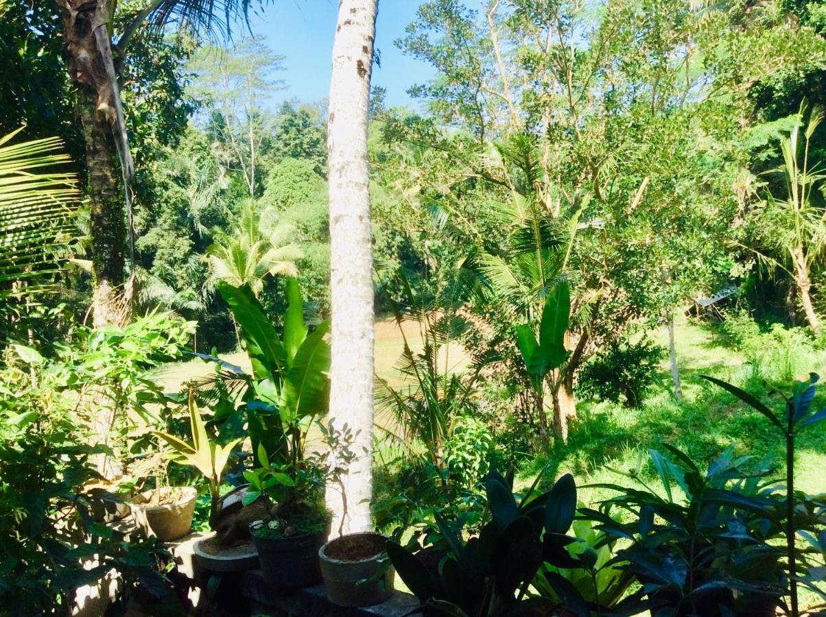 Rumah Irak Et Kadek Bali Ubud Esterno foto