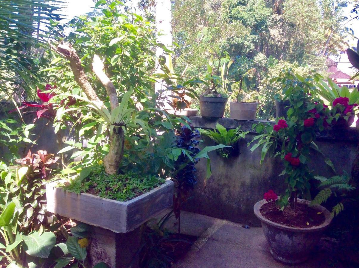Rumah Irak Et Kadek Bali Ubud Esterno foto