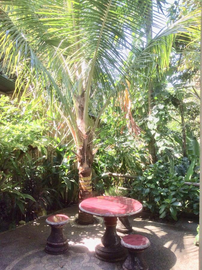 Rumah Irak Et Kadek Bali Ubud Esterno foto