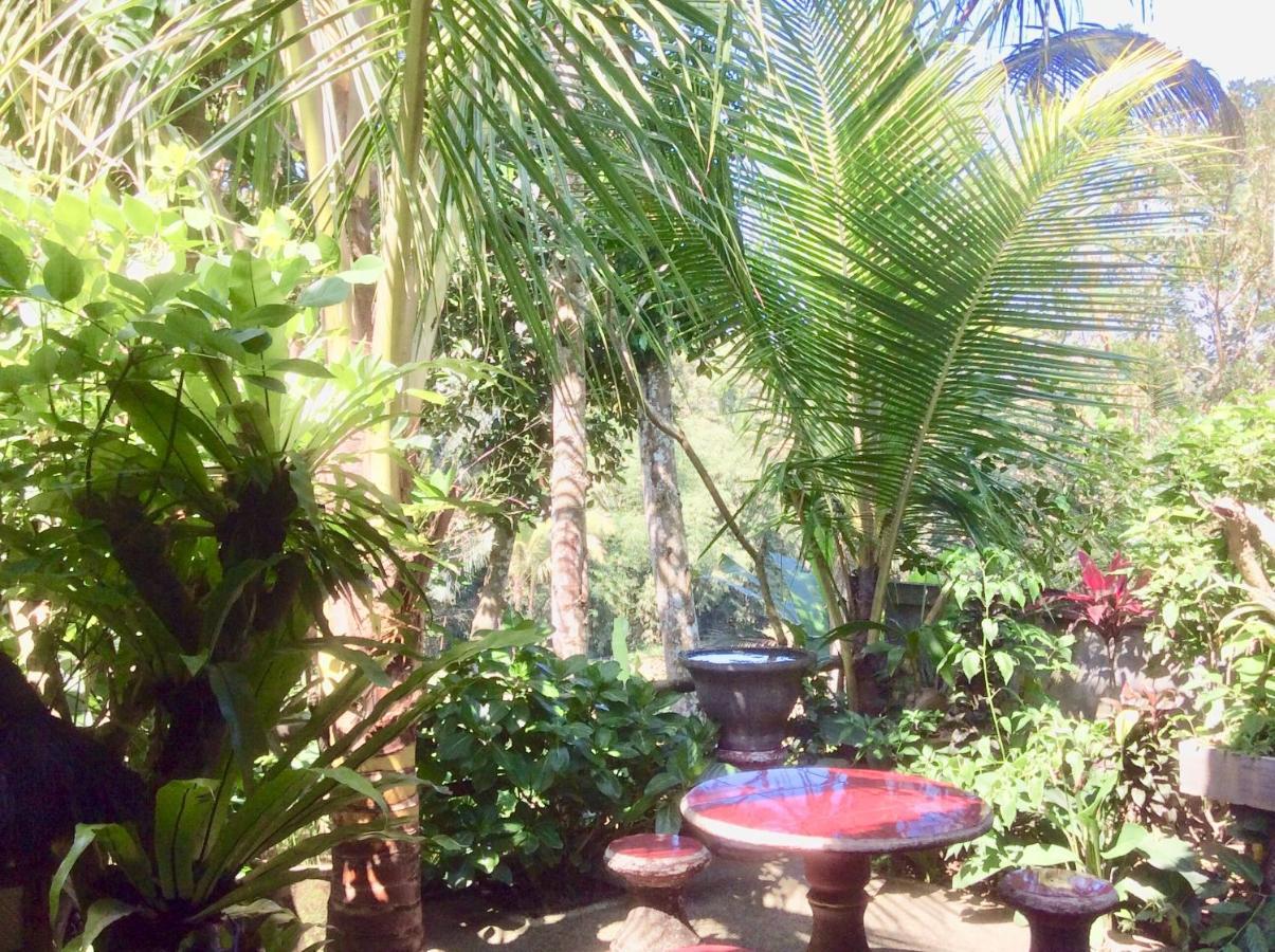 Rumah Irak Et Kadek Bali Ubud Esterno foto